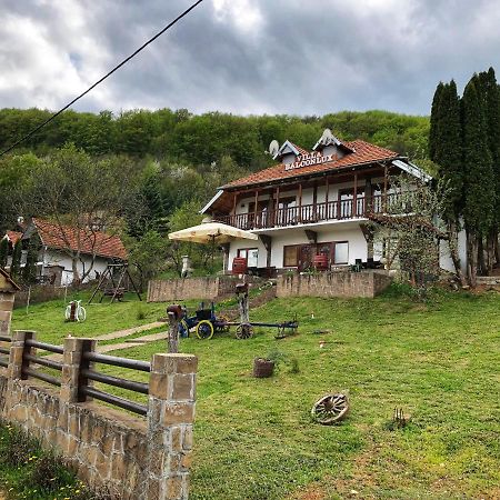 Villa Balconlux - Zavojsko Jezero, Pirot Exterior photo
