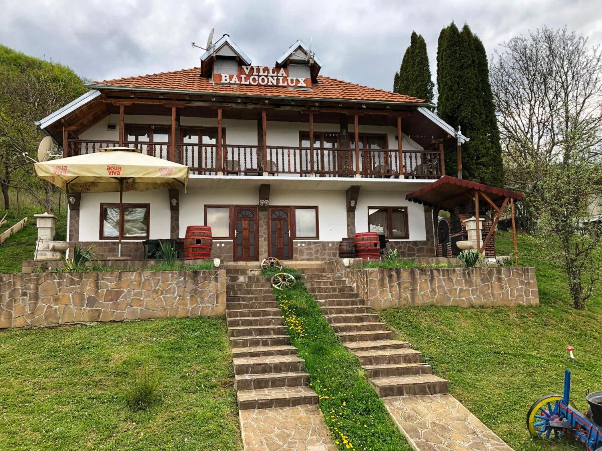 Villa Balconlux - Zavojsko Jezero, Pirot Exterior photo